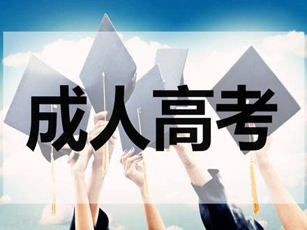 智慧培训 - 成人高考